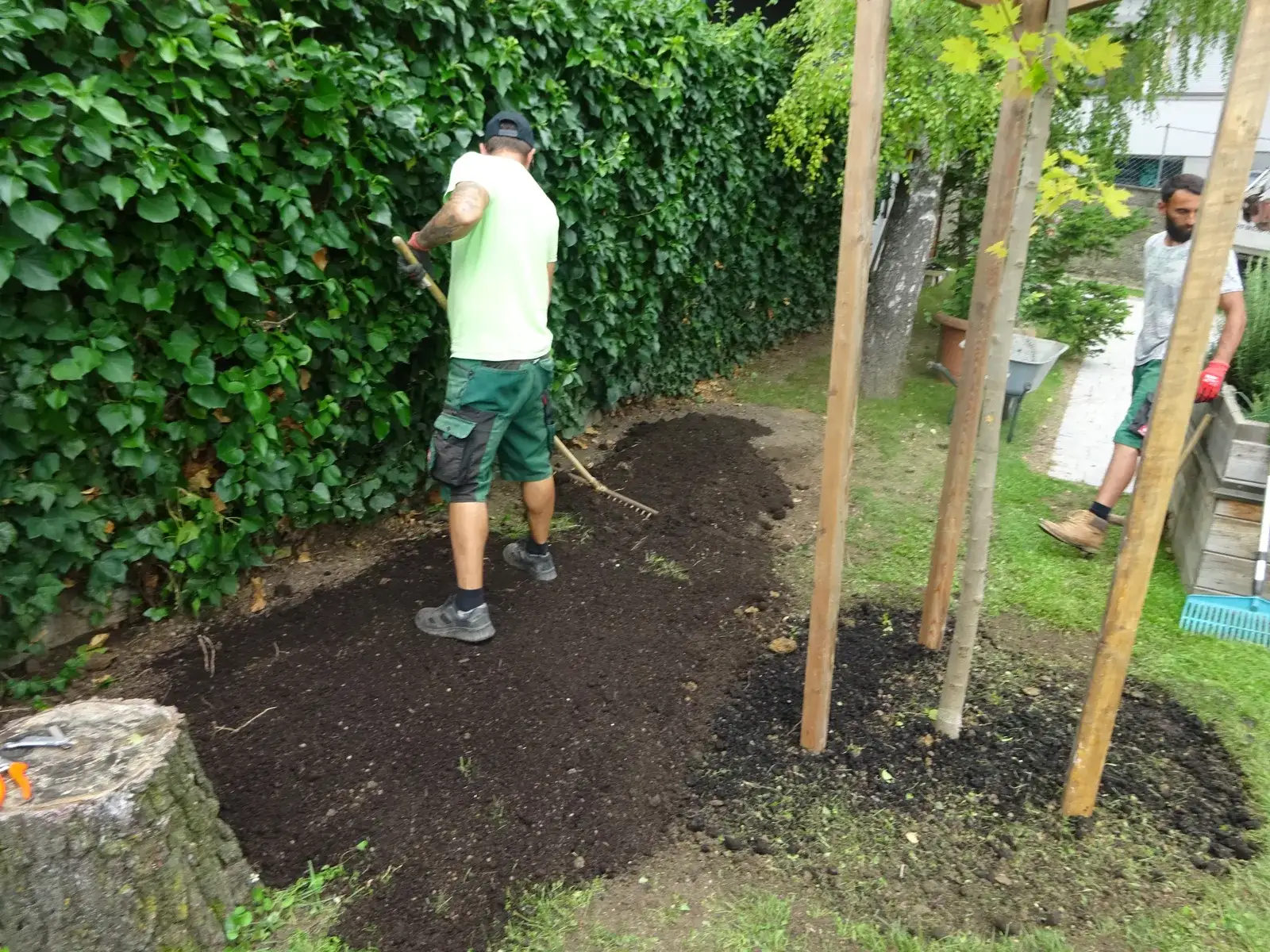 Zwei Mitarbeiter pflanzen Bäume vor einer Hecke, die Bäume sind mit Holzpfählen gestützt