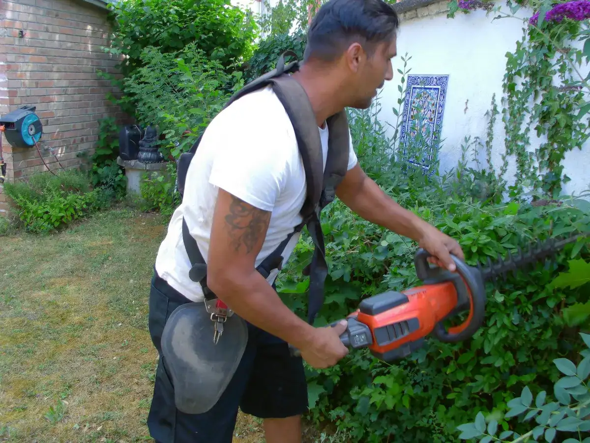 Heckenschnitt mit der Motor-Heckenschere im Garten