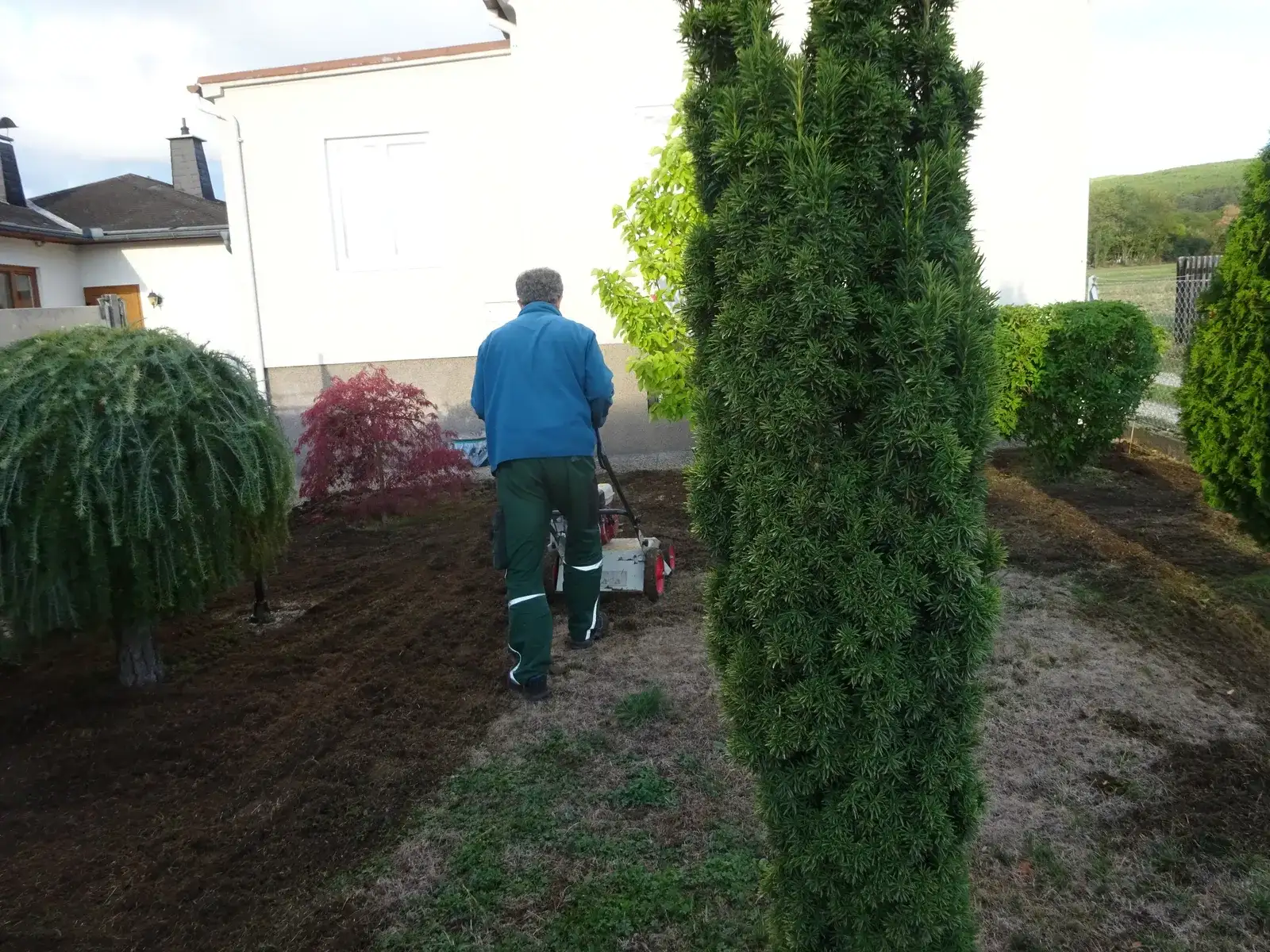 Mitarbeiter mit Vertikutierer in einem Garten zwischen Säulenbäumen und Sträuchern