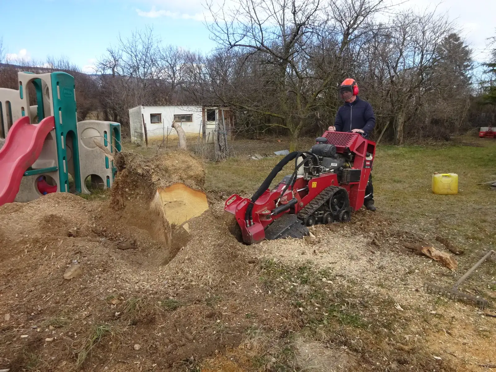 Stubbenfräse arbeitet an einem großen Baumstumpf in einem Garten mit Spielgeräten